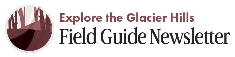 The Glacier Hills Field Guide
